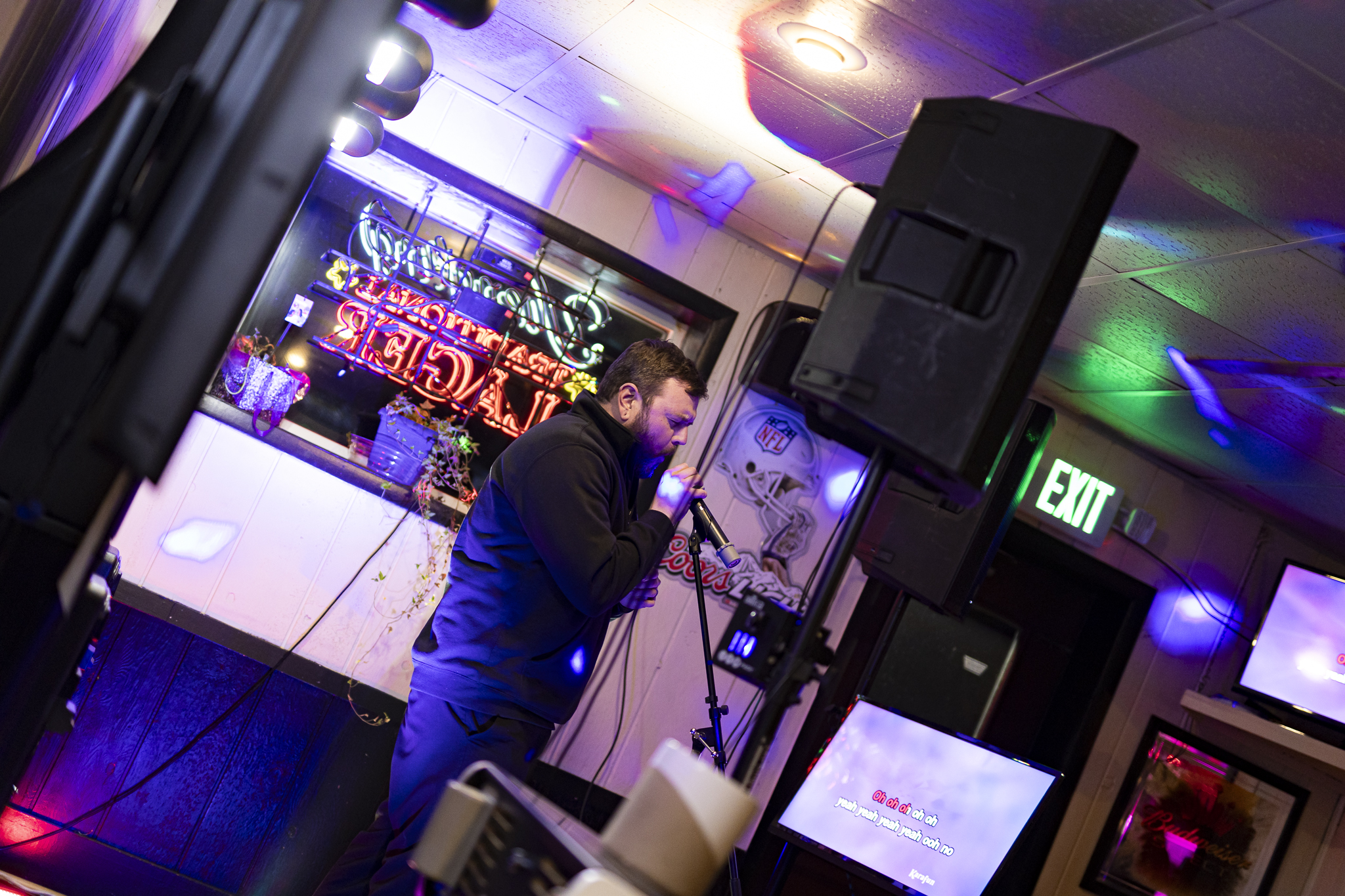 Songbird Karaoke show photo