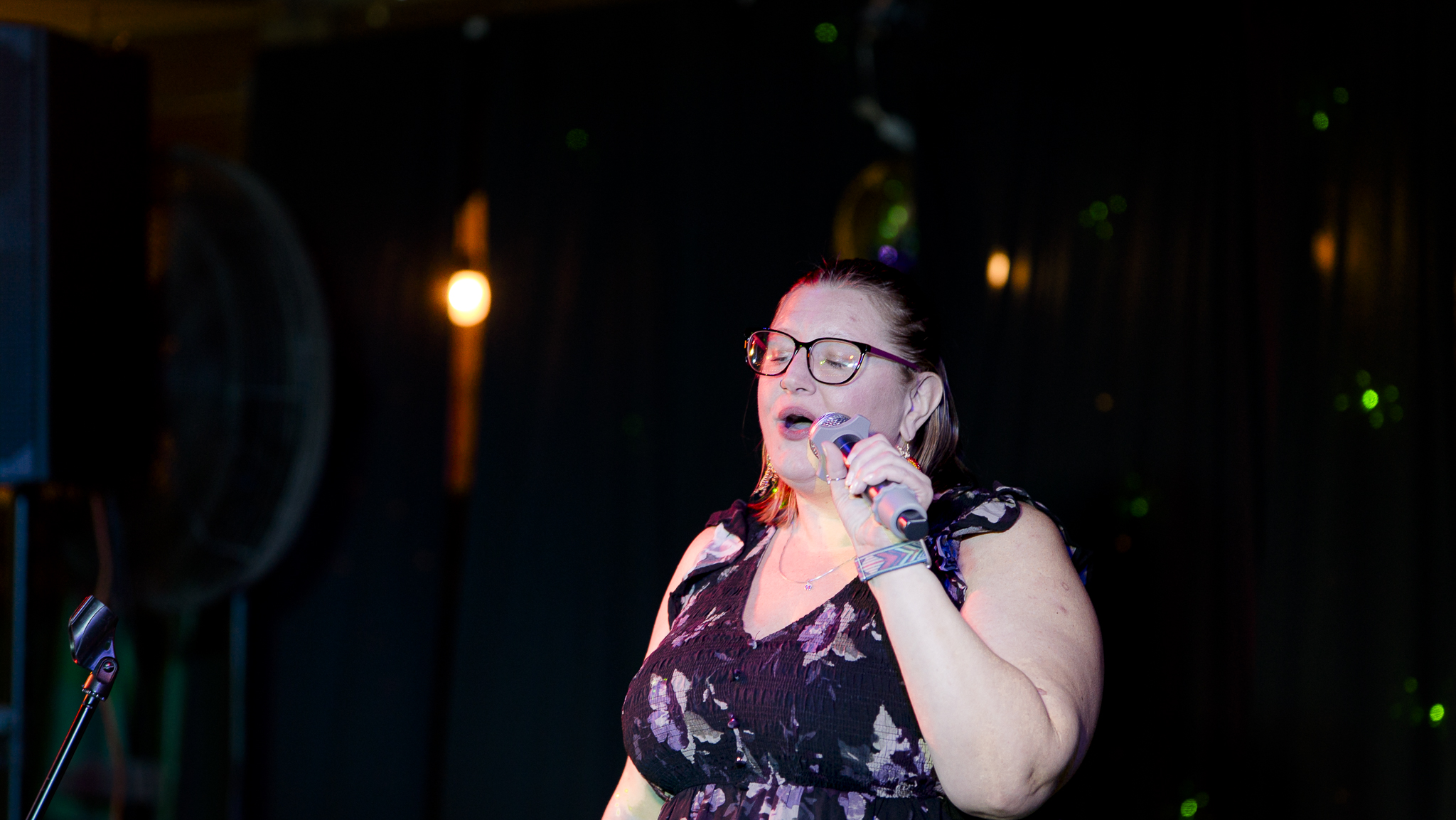 Songbird Karaoke show photo