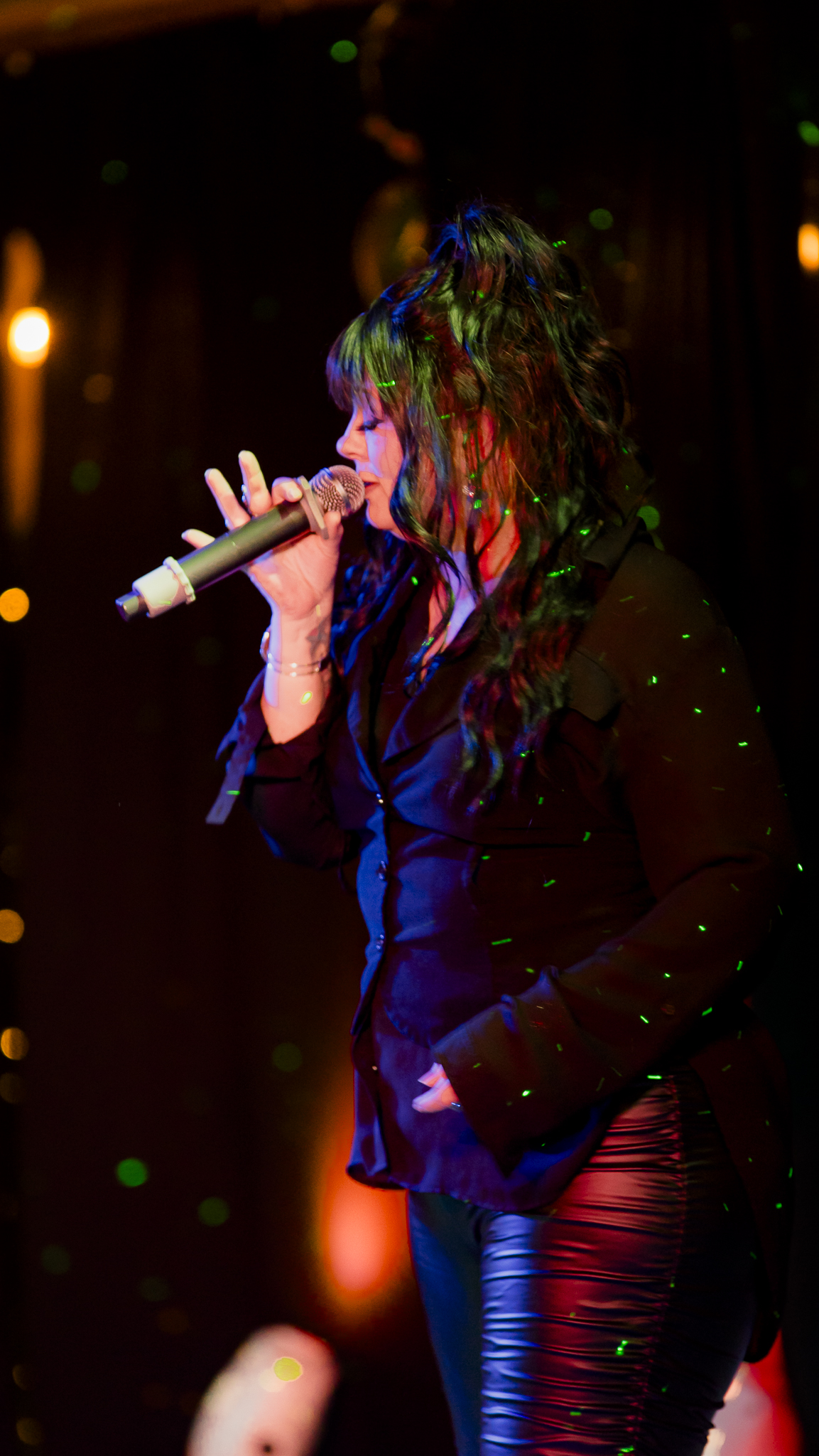 Songbird Karaoke show photo
